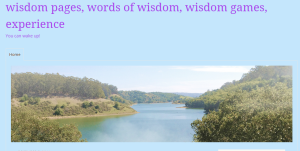 picuture of wisdomgame blog Wisdom pages, wisdom words.